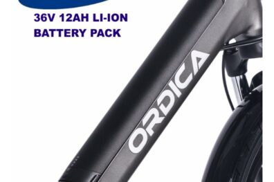 Ordica 24 Inch Charcoal Ebike Samsung 12a Battery Pack 30 1100x1100 (1)
